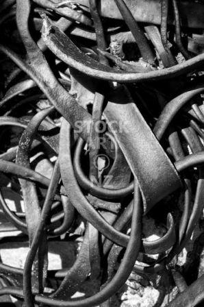 Bull kelp on a Northland beach - black & white photos