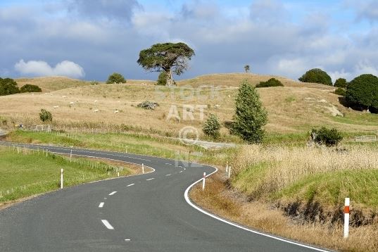 New Zealand landscapes - typical New Zealand country gravel road