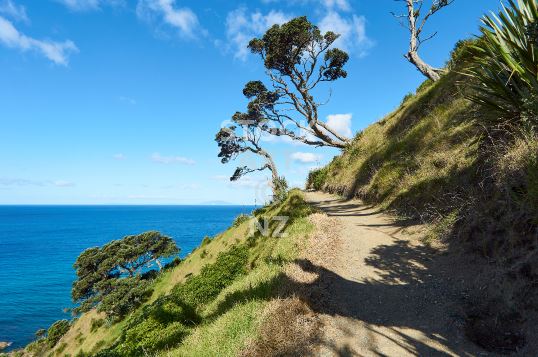 Mangawhai Cliff Walk - Northland stock photos