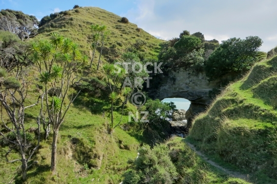 Arched Rock - Tolaga Bay  - Te Kotere o te Whenua, the famous hole in the rock along Cooks Cove Walkway - lower resolution quality photo, ideal for web use