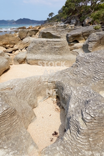 Beach rock formations - Waipu Coastal Trail, Northland, NZ