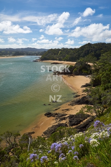 Beaches between Ngunguru and Whangaumu Bay