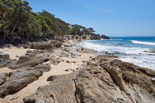 Beautiful beach with rocks along the Waipu Coastal Trail, Northland, NZ