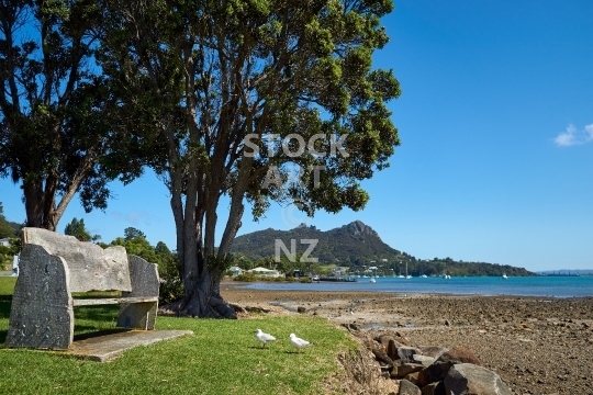 Bench in McLeod Bay - Whangarei Heads, Northland, New Zealand - Relaxing at the beach, with Pohutukawa tree and Mount Aubrey in the background