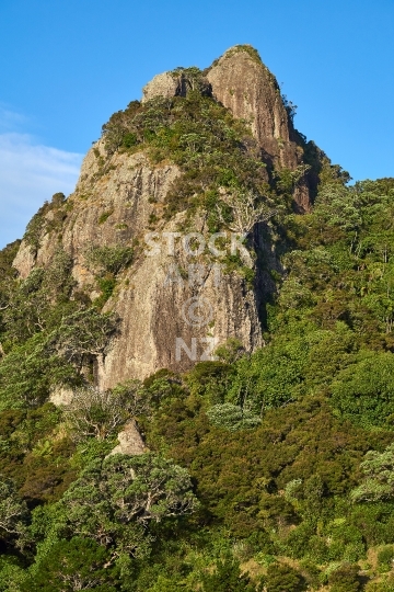 Closeup of Mount Aubrey  - View of the beautiful and spectacular Mt Aubrey rock cliffs and native bush, an old extinct volcano at the Whangarei Heads between Reotahi and McLeod Bay, Northland, New Zealand