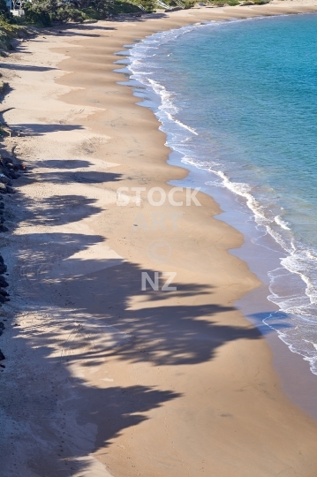 Closeup of Whangaumu Beach