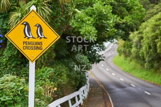 Funny _qt_Penguins Crossing_qt_ sign in New Zealand - Along a typical New Zealand road in Mangonui, Northland                               