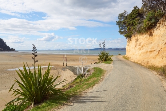 Kellys Bay - Kaipara Harbour view, Pouto Peninsula, Northland, NZ - Coastal views into the harbour and golden cliff with flax bushes