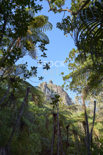 Mount Manaia track at the Whangarei Heads 