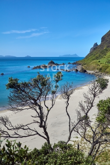 Ocean Beach east side, Whangarei Heads, Northland - View toward Bream Head and Hen Island