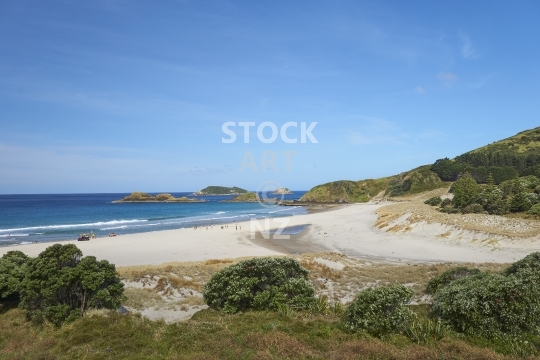 Ocean Beach in summer, Whangarei Heads, Northland - Swimming fun on the surf beach