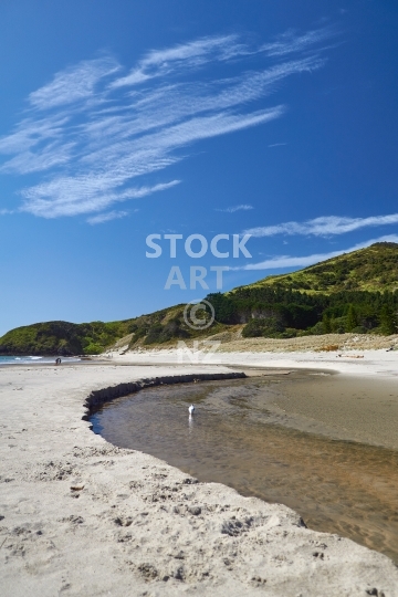 Ocean Beach with seagull - Whangarei Heads, Northland, NZ - River stream meandering through the sand