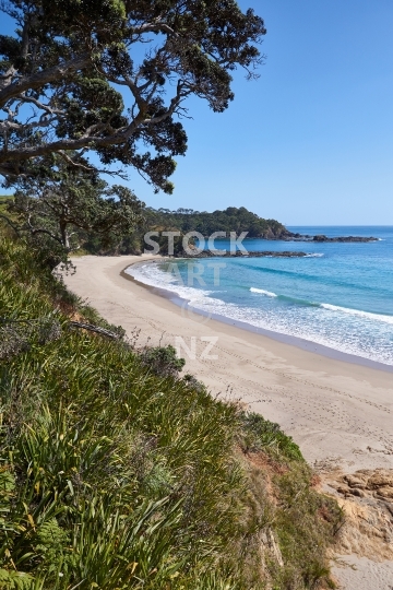 Otamure beach - Whananaki, Northland, NZ - Beautiful bay at the Whananaki DOC campground