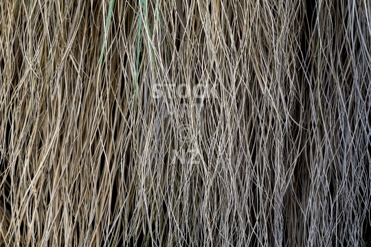 Pampas grass leaves - Abstract photo of countless old and dried hanging leaves