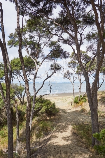 Pouto Point beach access - Kaipara Harbour, Pouto Peninsula, Northland, NZ