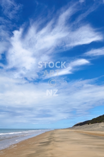 Ripiro Beach near Pouto Point - Pouto Peninsula, Northland, NZ - The endless beach at the southern mouth of gigantic Kaipara Harbour, walking towards the open west coast with cloudy blue sky above, sand dunes and native bush beside