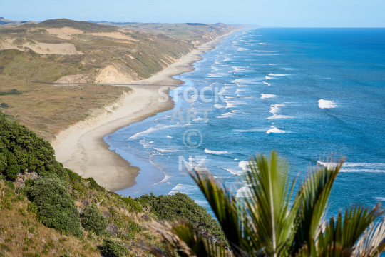 Ripiro Beach panorama, Aranga Beach, west coast of Northland  - Maunganui Bluff walk views with Nikau palms 