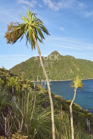 Smugglers Bay and Mount Lion - Whangarei, Northland, New Zealand