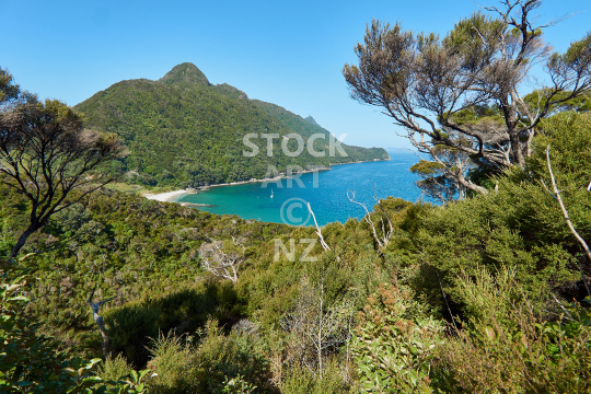 Smugglers Bay at the Whangarei Heads - Hidden beach at the Bream Head Scenic Reserve, Northland, New Zealand