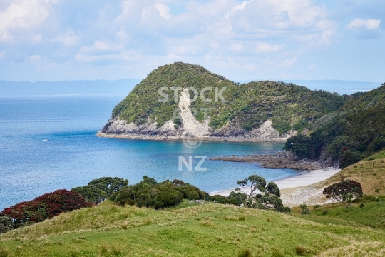 Smugglers Bay from top - Whangarei Heads, Northland, New Zealand - View of farmland, the beach and pa site, Bream Head Scenic Reserve