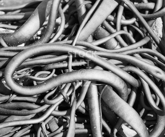 Splashback photo: Dried kelp on a New Zealand beach