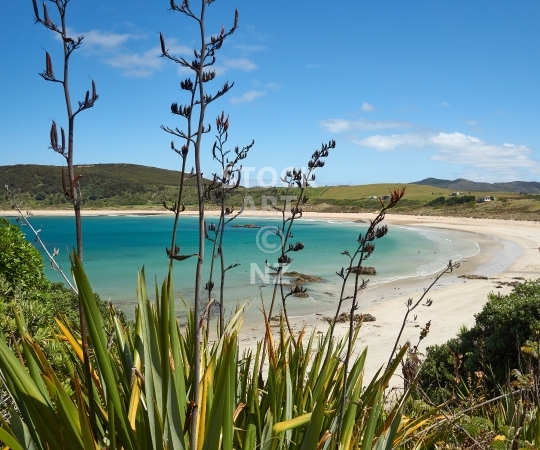 Splashback photo: Matai Bay in Northland - Kitchen splashback picture for standard size 900 x 750 mm