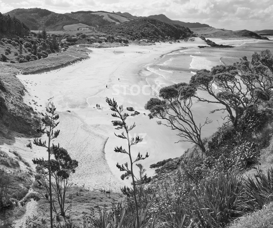 Splashback photo: Whangarei Heads Ocean Beach