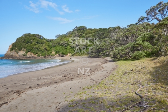 Tauwhara Bay in Whananaki - Lovely secluded beach and DOC reserve - Northland, New Zealand