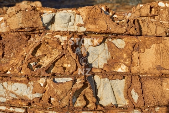 Volcanic red rock on the Northland coast - Closeup of the beautiful stone texture in Whangaumu Bay, Tutukaka Coast, NZ 