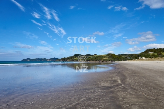 Waipu Cove beach - Northland, New Zealand - Surf beach in Bream Bay at low tide