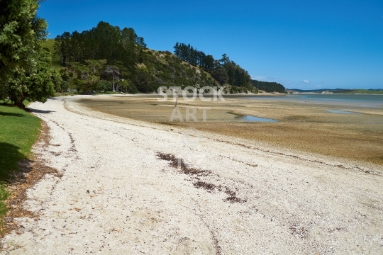 Whakapirau beach  - Peaceful little historic settlement on Kaipara Harbour, Northland, NZ