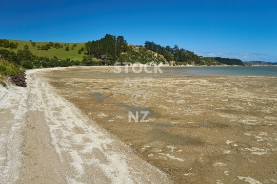 Whakapirau beach at low tide