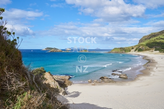 Whangarei Ocean Beach with white sand 